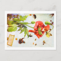 Poppy Gnome