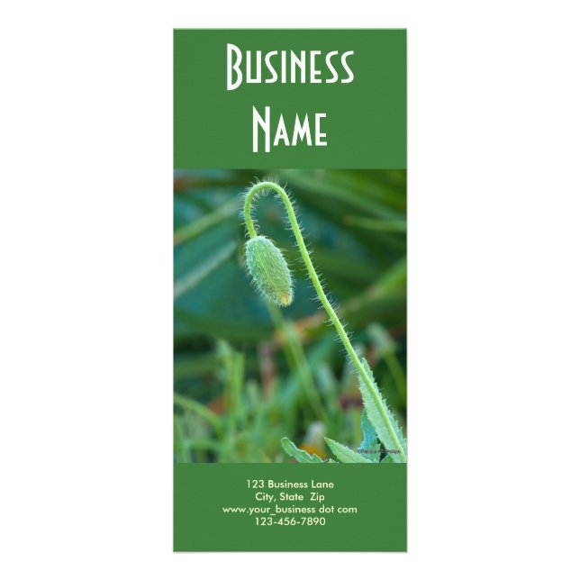 Poppy In Progress Rack Card (Front)