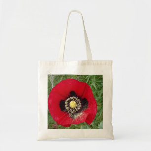 Poppy in red tote bag
