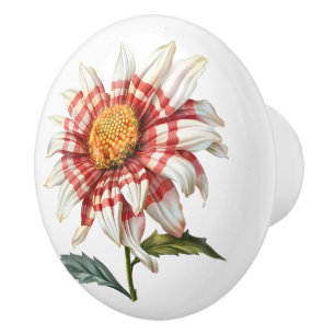 Poppy In Red White Gingham Ceramic Knob