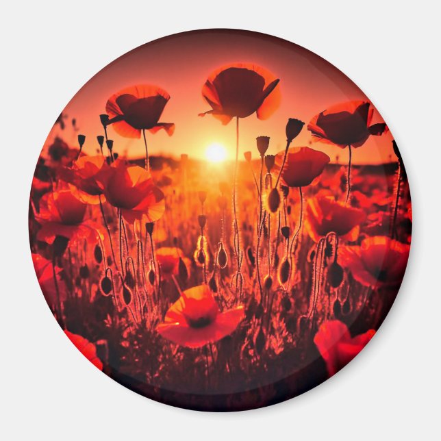 poppy in the back light magnet (Front)