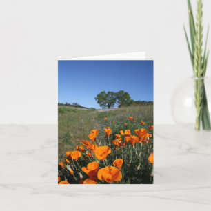 Poppy Landscape, Blank Note Card