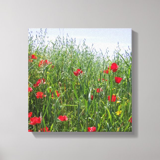 Poppy Meadow Canvas Print (Front)