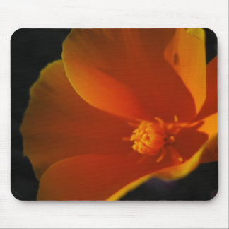 poppy mouse mat