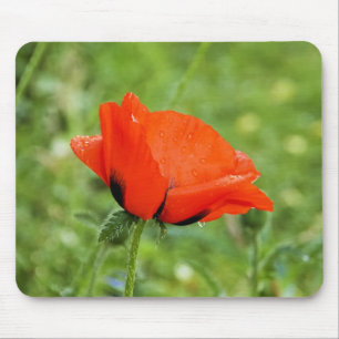 Poppy Mousepad