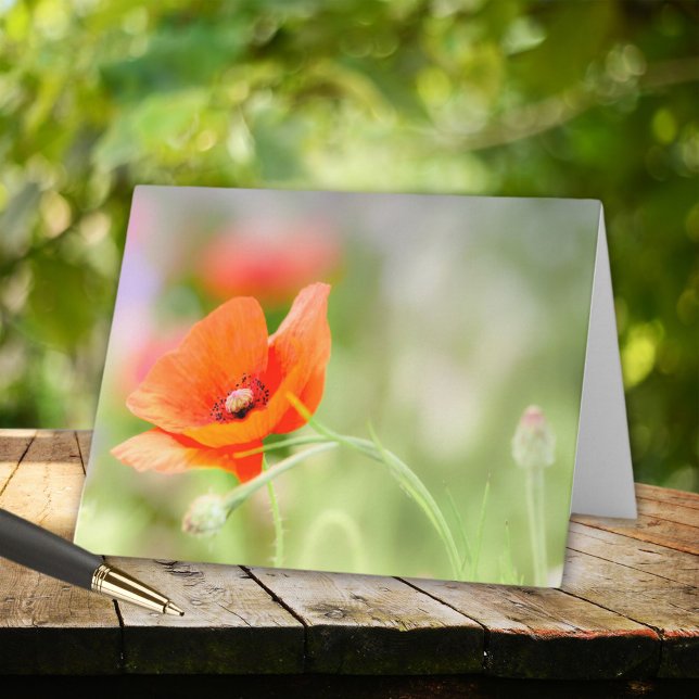 Poppy  note card (Creator Uploaded)