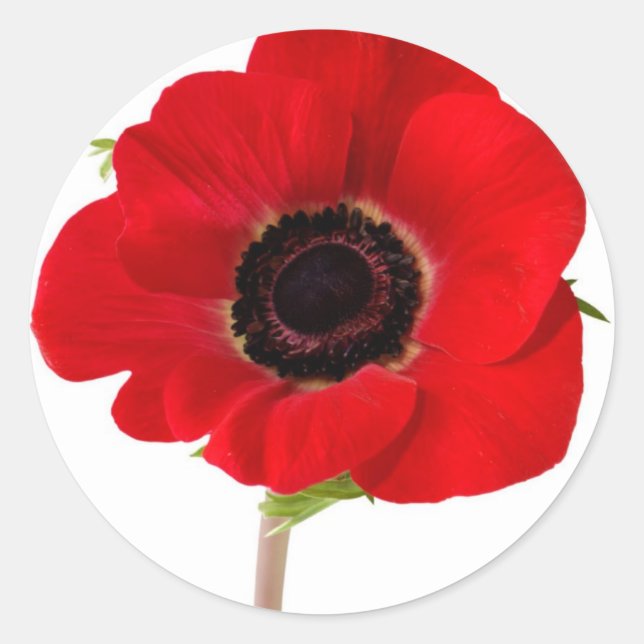 POPPY of Remembrance Classic Round Sticker (Front)