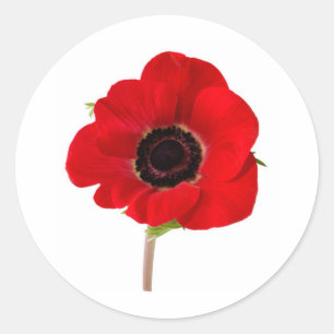 POPPY of Remembrance Classic Round Sticker
