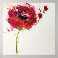 Poppy on White