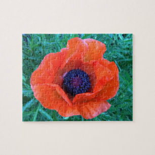 POPPY Oriental Red Orange --- Jigsaw Puzzle