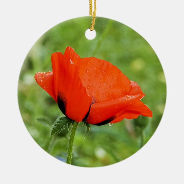 Poppy Ornament (Front)