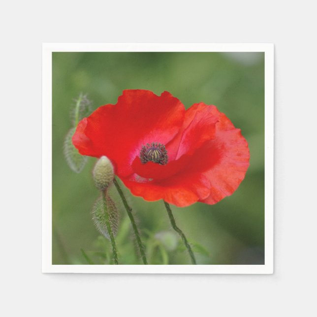 Poppy Paper Napkins (Front)