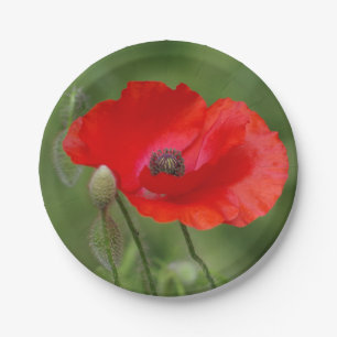 Poppy Paper Plates