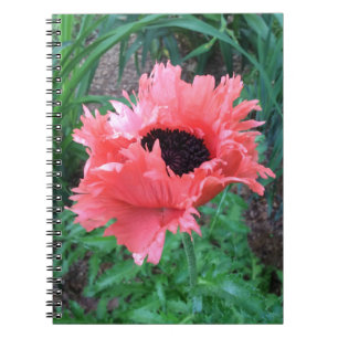 POPPY "Pink Ruffles" --- Notebook