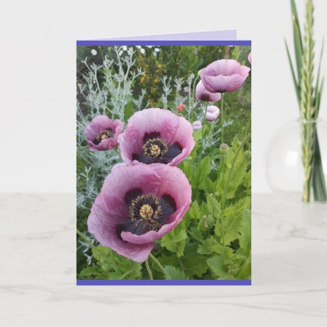 Poppy Poppies Pink purple Flowers Birthday Card (Front)