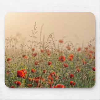 Poppy posing in the sun mouse mat