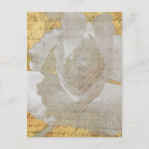 Poppy Postcard