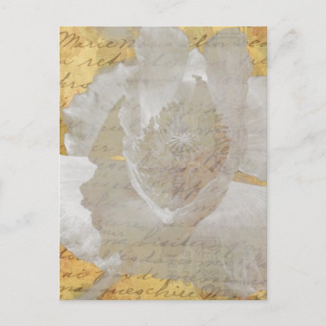 Poppy Postcard (Front)