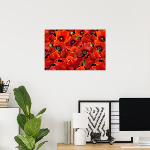 Poppy Poster