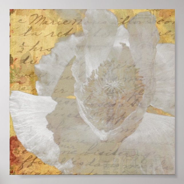 Poppy Poster (Front)