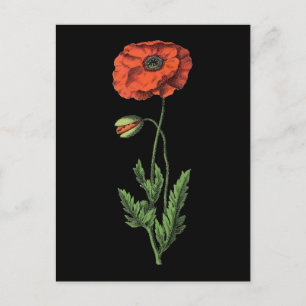 Poppy red vintage art postcard