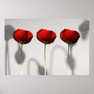Poppy Silhouette Poster Print