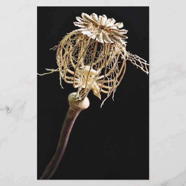 Poppy Stationery (Front)