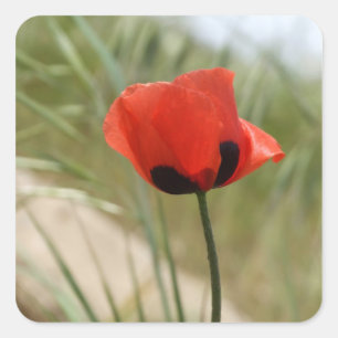 Poppy Stickers