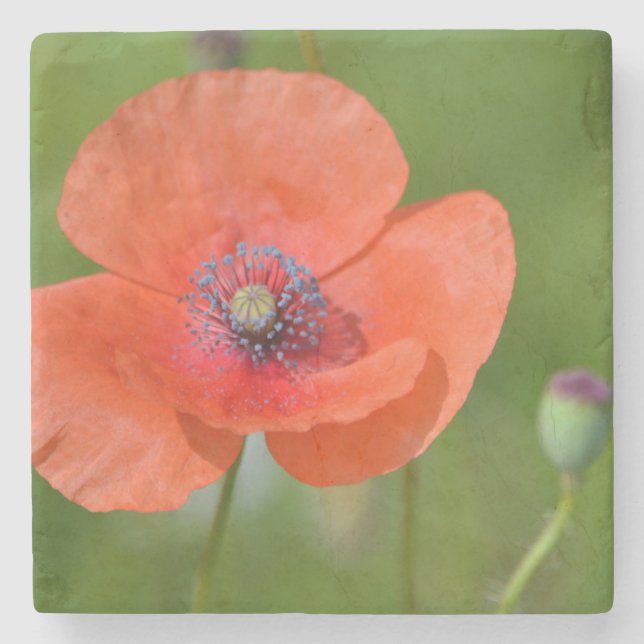 Poppy Stone Coaster (Front)