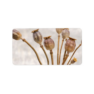 Poppy Straw Pods Label