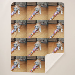 Poppy The Bull Terrier Puppy Playtime, Sherpa Blanket