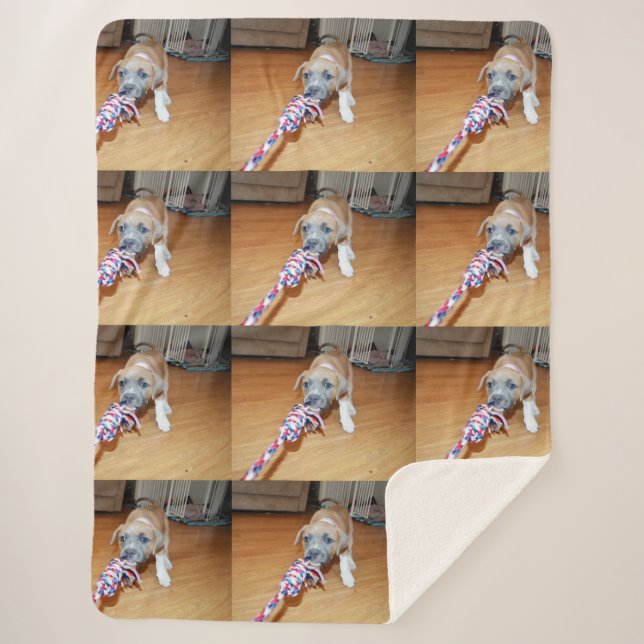 Poppy The Bull Terrier Puppy Playtime, Sherpa Blanket (Front)