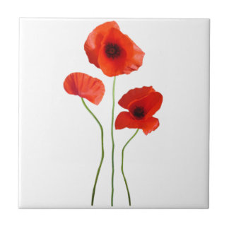 poppy tile