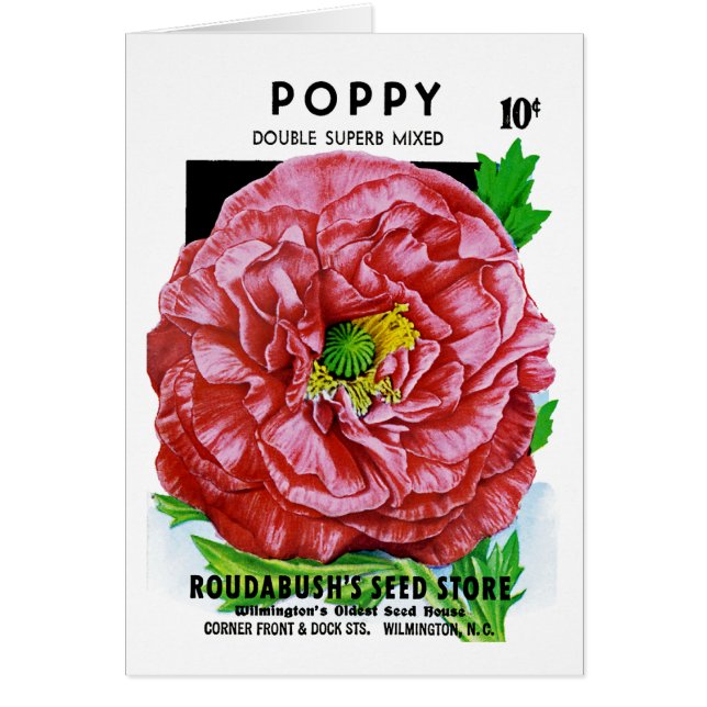 Poppy Vintage Seed Packet (Front)