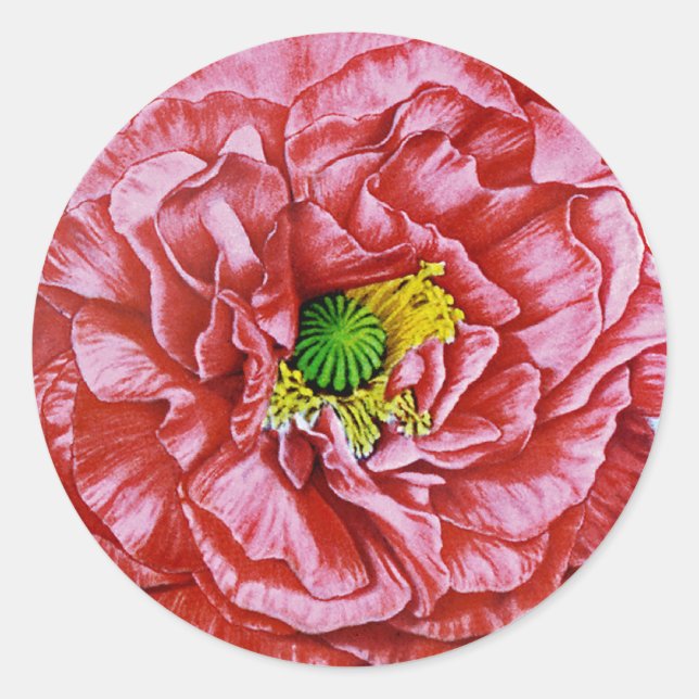 Poppy Vintage Seed Packet Classic Round Sticker (Front)