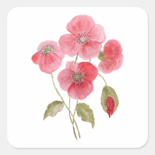 Poppy Watercolor Flower Square Sticker