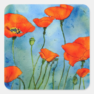 Poppy Watercolor Square Sticker