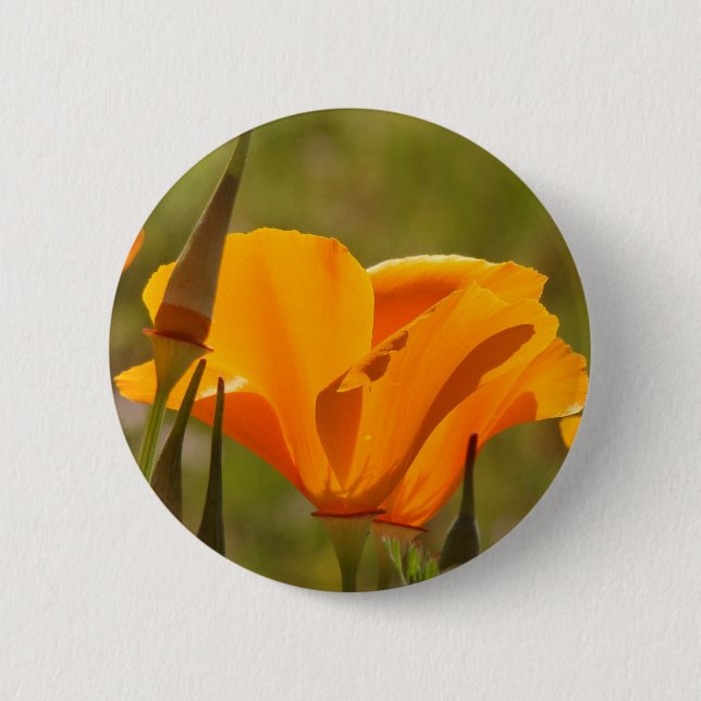 Poppy Wildflower Button (Front)