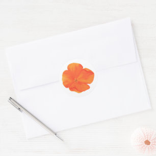 Poppy Wildflower Orange Sticker