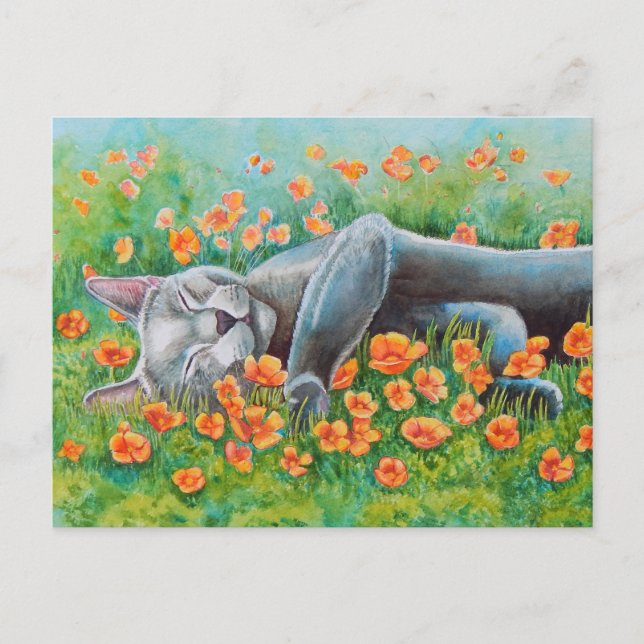 Poppy's Poppies Postcard (Front)