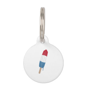 Popsicle Rocket Pet Tag
