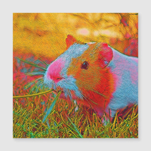 popular Animals - Guinea Pig