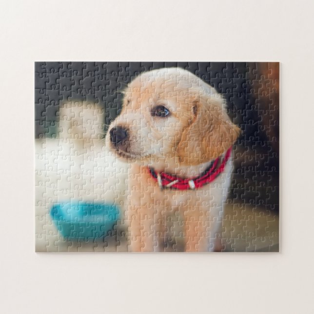 Popular Dog Design Gift Jigsaw Puzzle (Horizontal)