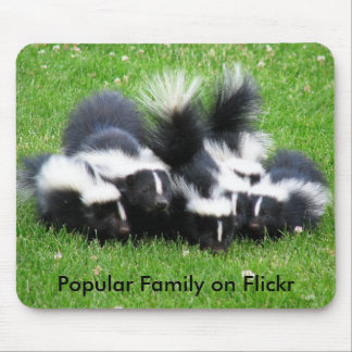 Popular Flickr Family Mouse Mat