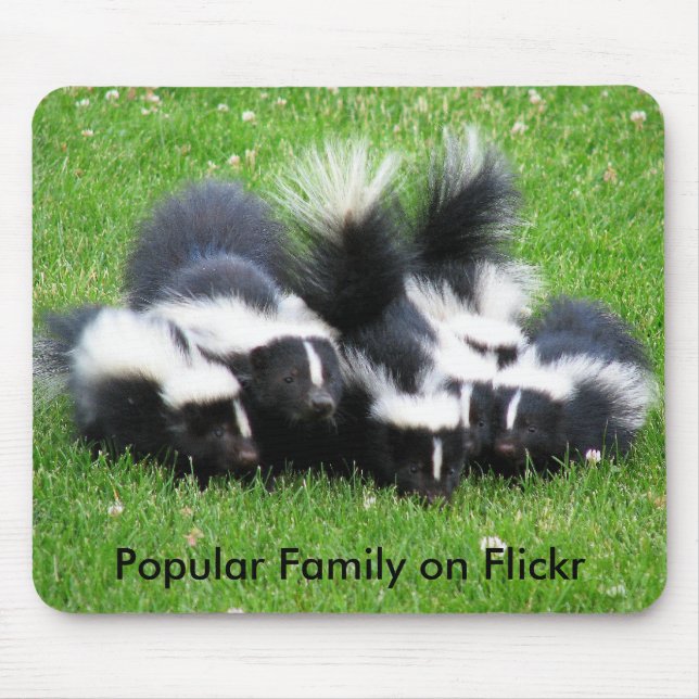 Popular Flickr Family Mouse Mat (Front)