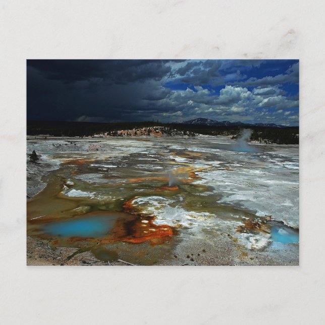 Porcelain Basin Postcard (Front)