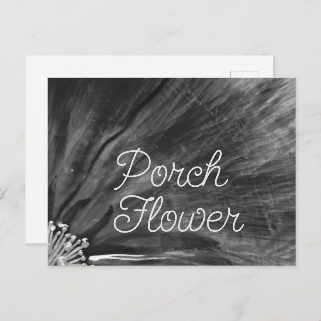 Porch Flower / Black and White / Postcard (Front/Back)
