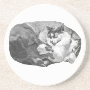 Porchlight Pause Coaster