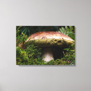 Porcino mushroom canvas print