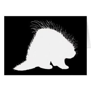 Porcupine